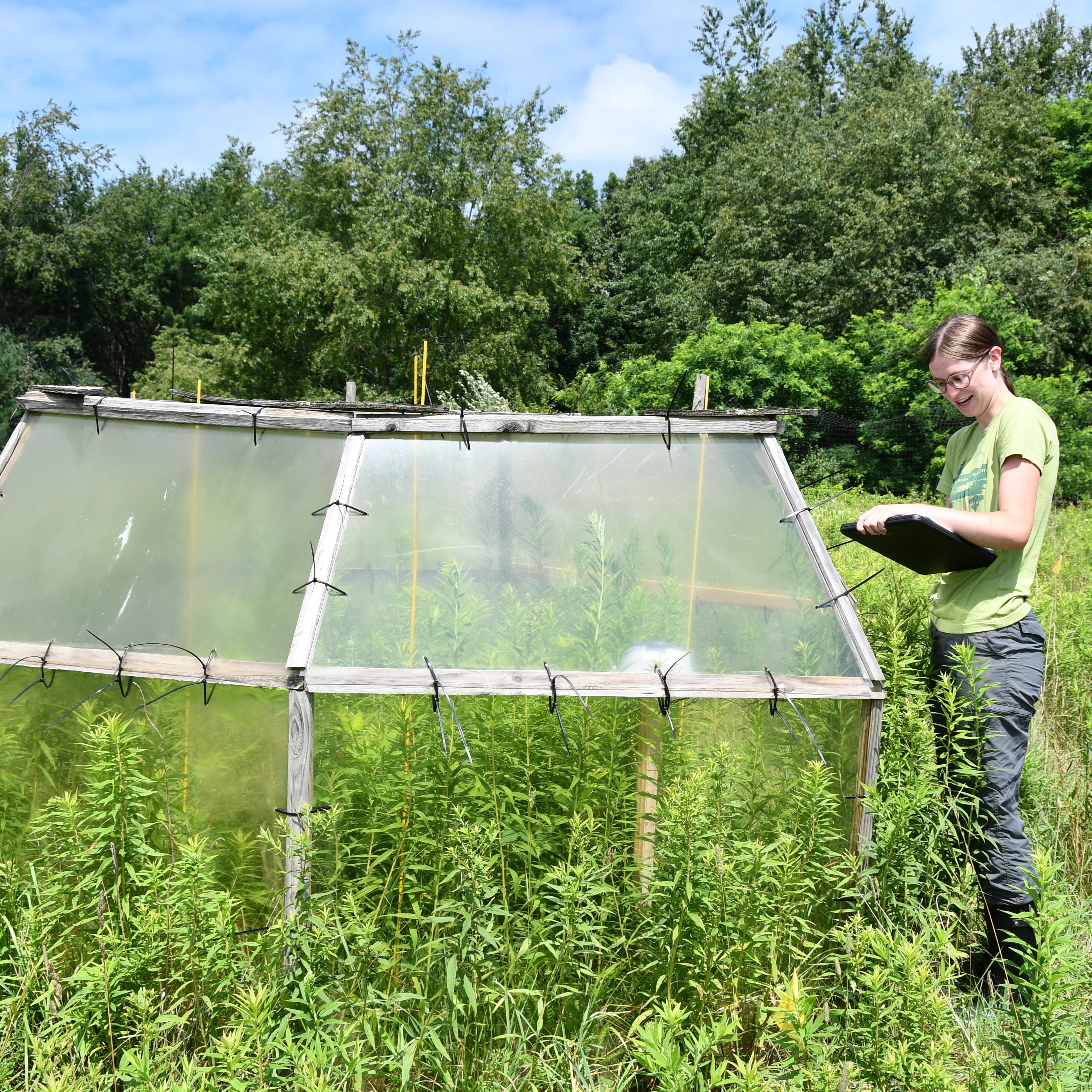 Researchers examine the research plot