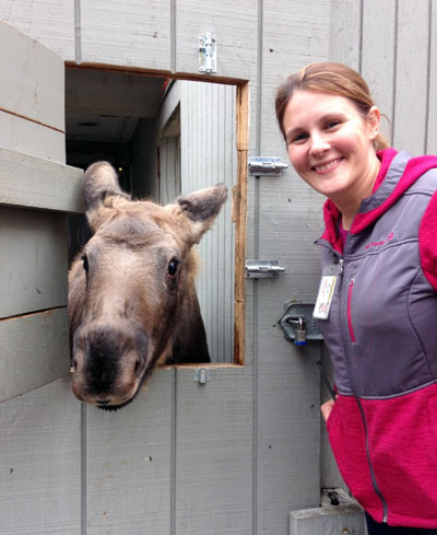 Cindy Wagner standing next to a moose at Potter Park Zoo