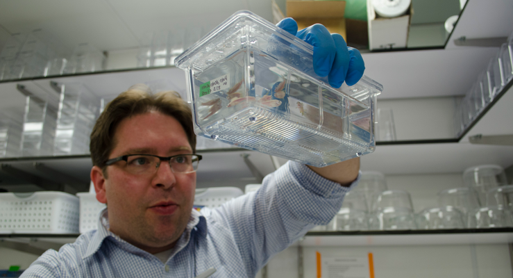 Ingo Braasch holding an aquarium housing zebra fish