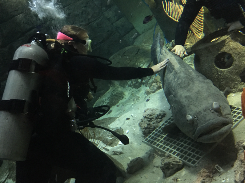 Maris Wright under water with fish.