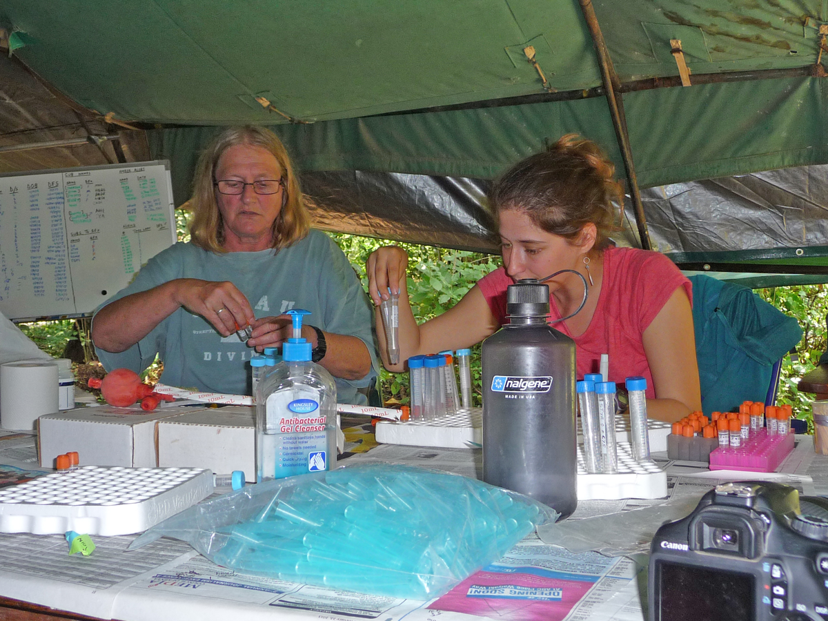 Kay Holekamp and a graduate student handling laboratory samples