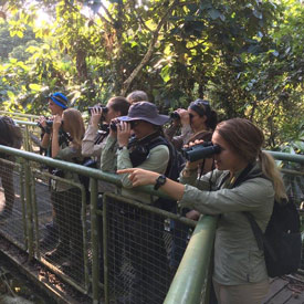Students looking through binoculars to look for birds.