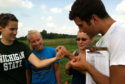 Students identifying an insect during their field course