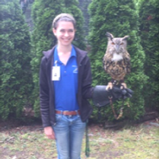 A Day in the Life of an Education Intern