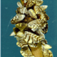 Zebra Mussels Contribute to Increase in Toxic Algae