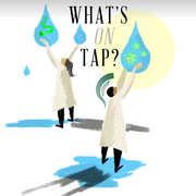 What's on Tap?