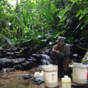 Integrative Biology Researchers Receive MSU Grant to Study Population Recovery in Ecuadorian Toads