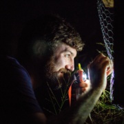 Moving Forward in the Dark: Sean Griffin and His Bees