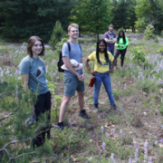 Ally Brown: My Summer as an Undergraduate Research Apprentice at the Kellogg Biological Station