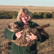Kay Holekamp Earns Prestigious Honor
