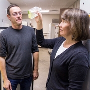 $2 Million NSF Grant Awarded to Predict Future Viability of Phytoplankton
