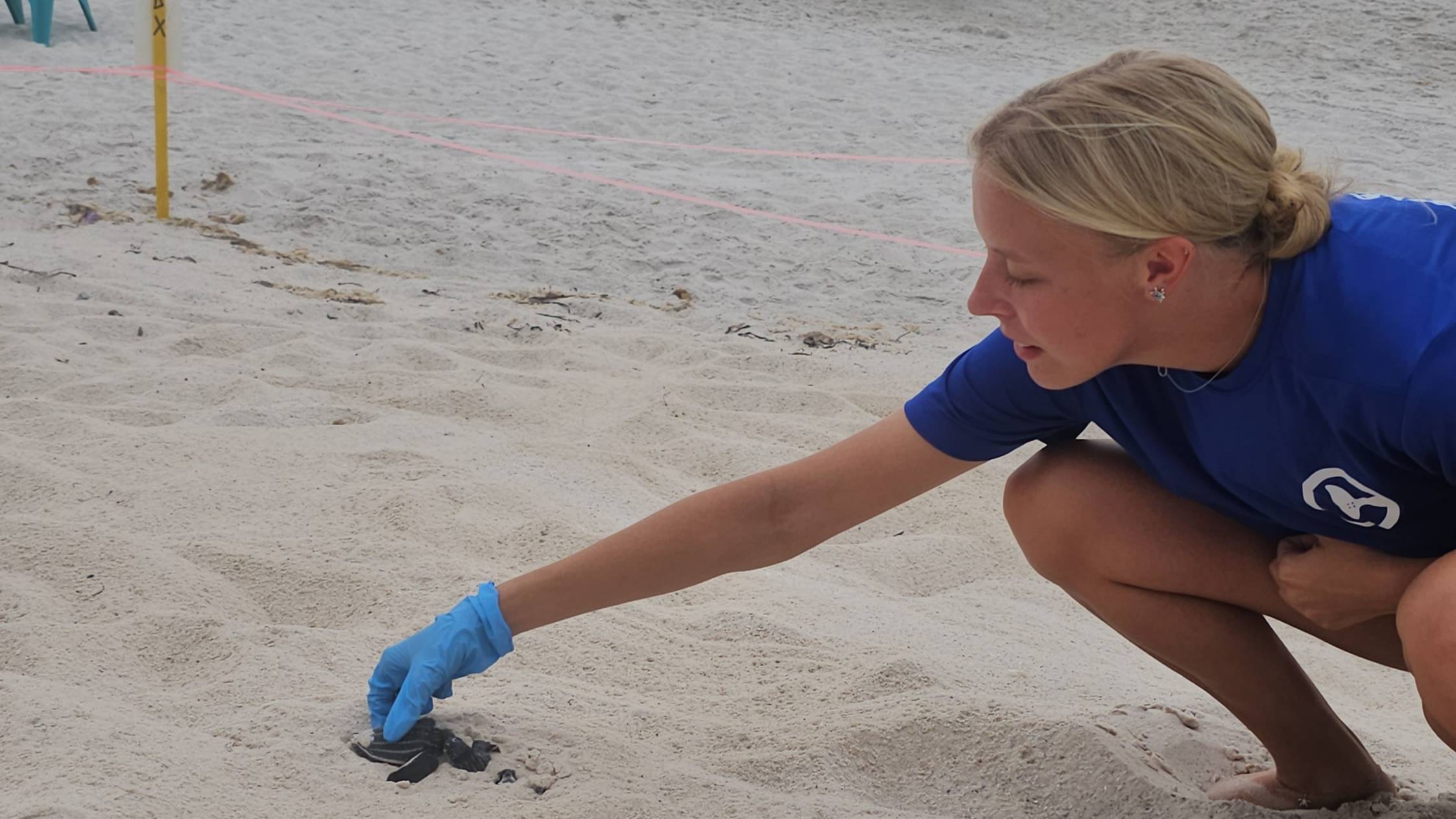 Woman looking at tutle on the beach.
